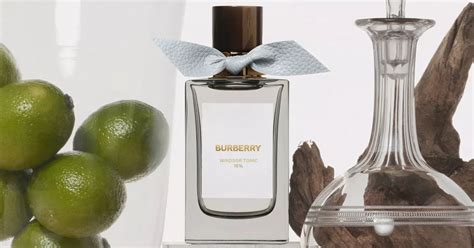 Windsor Tonic: Burberry's Hidden Gem ~ Fragrance Reviews